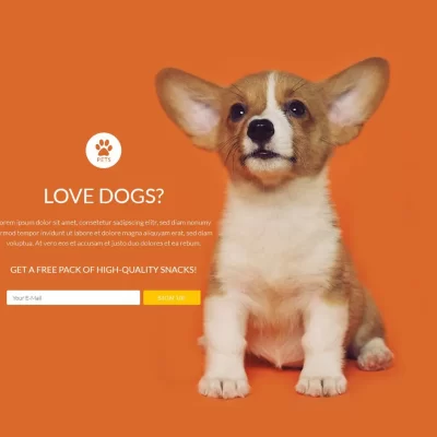 애견 미용 및 펫샵 전문 웹사이트 디자인